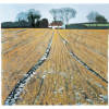 February Landscape (Lincolnshire)