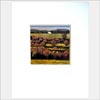card_mount_print