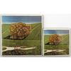 tile_Wolds